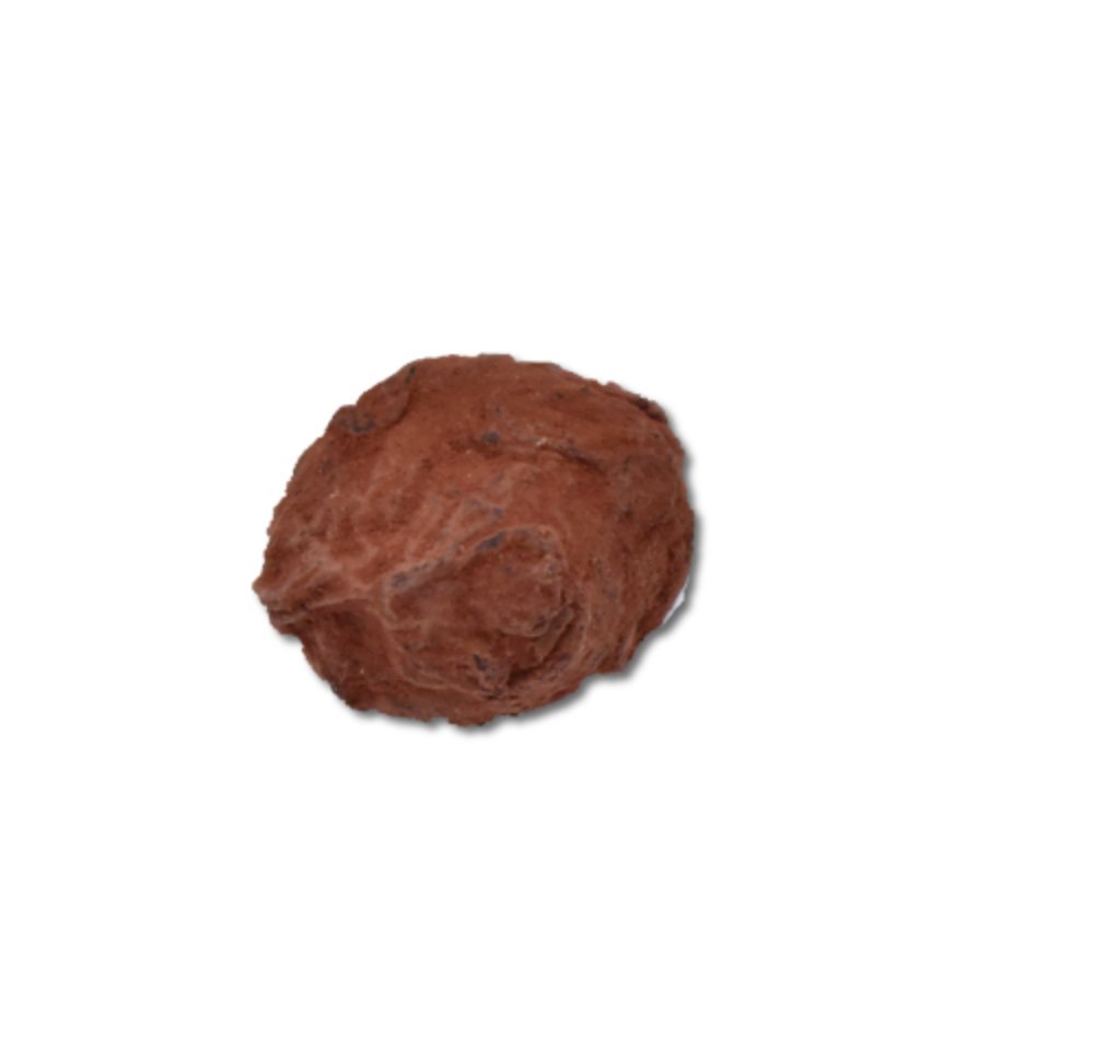 bonbon de chocolat